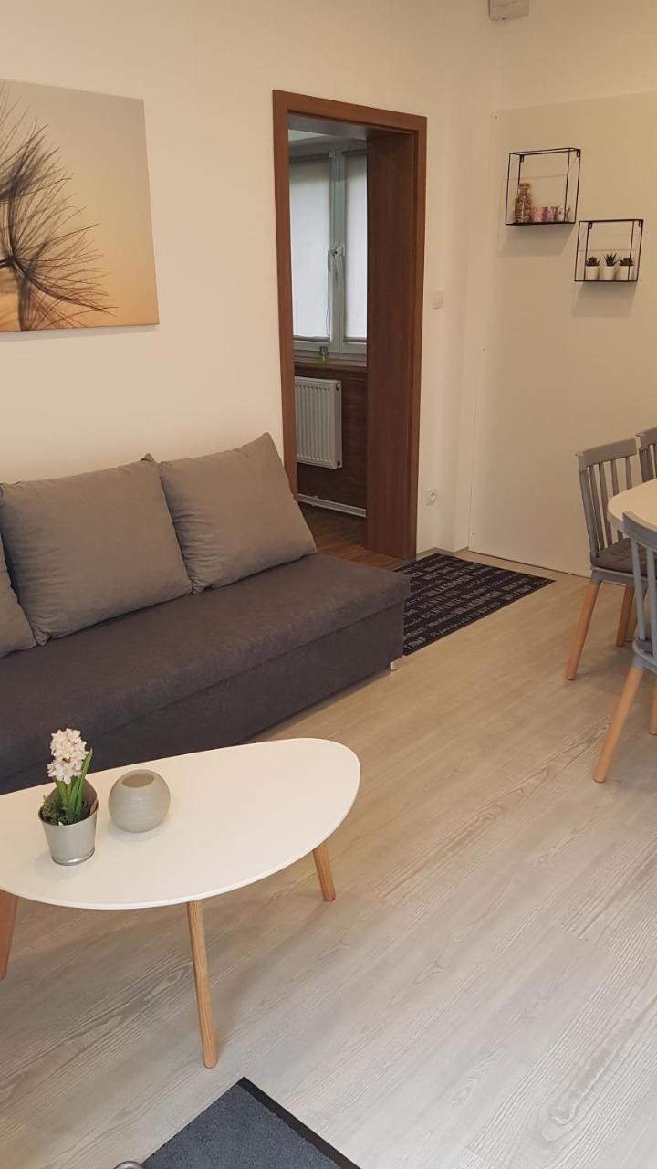 Apartment Pension Stark Františkovy Lázně Extérieur photo
