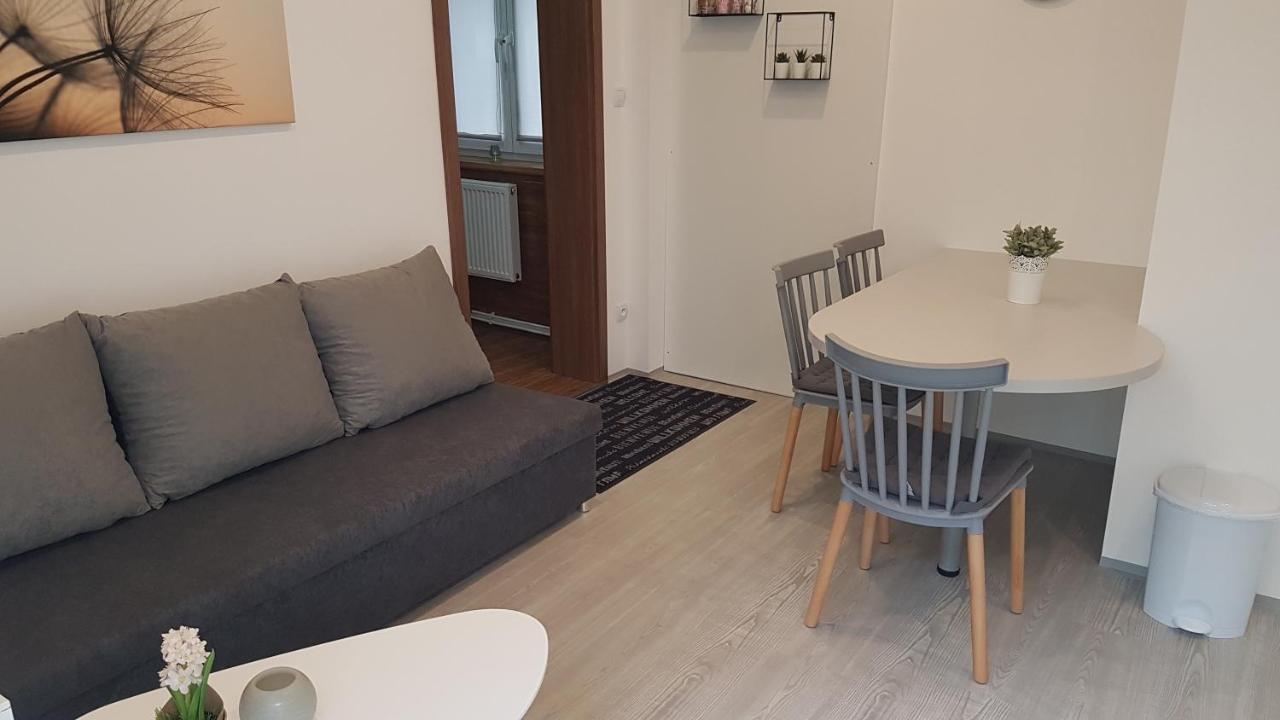 Apartment Pension Stark Františkovy Lázně Extérieur photo